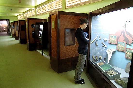 Accommodation Bookings